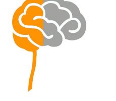 medicos neurologia la paz Neurocirugía de Alta Especialidad - Consultorios Médicoa